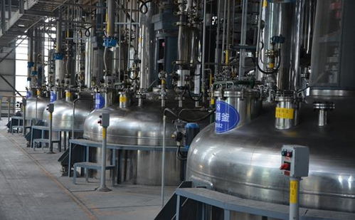 山东凯威尔精益运营管理体系KPS II期圆满结案 投资咨询视角下的卓越转型